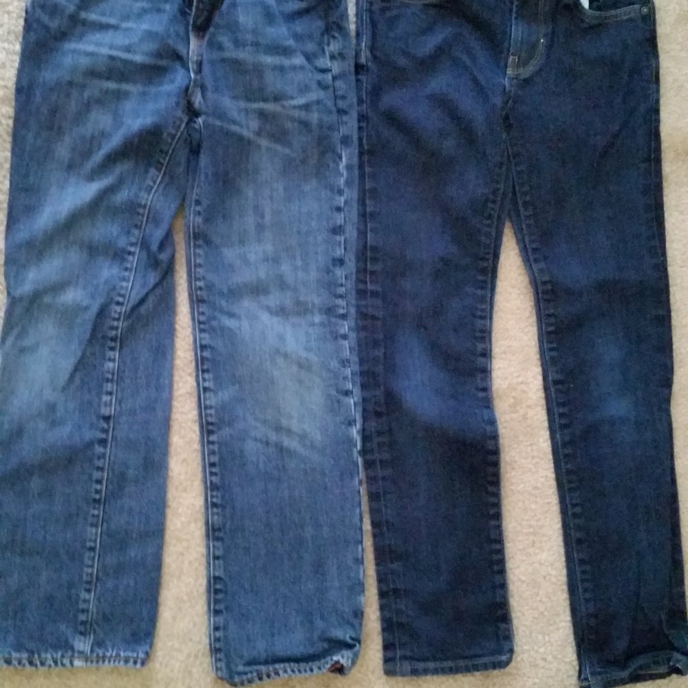Gap Kids Boys Jeans Size 10S (2 pairs)